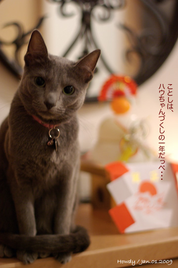 01.01.2009_1.jpg
