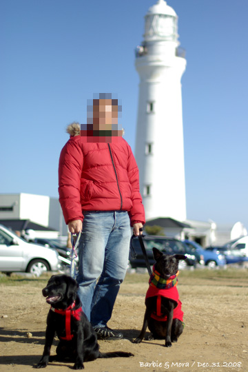 01.07.2009_5.jpg