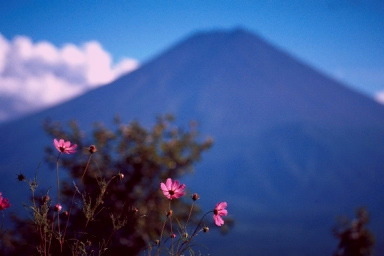 012_12.jpg