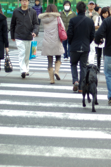 02.26.10_3.jpg