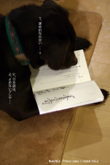 03.27.09_12.jpg