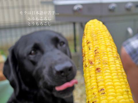 11009978_931895983537057_846096086852955858_n.jpg