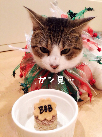 12.25.14_2.jpg