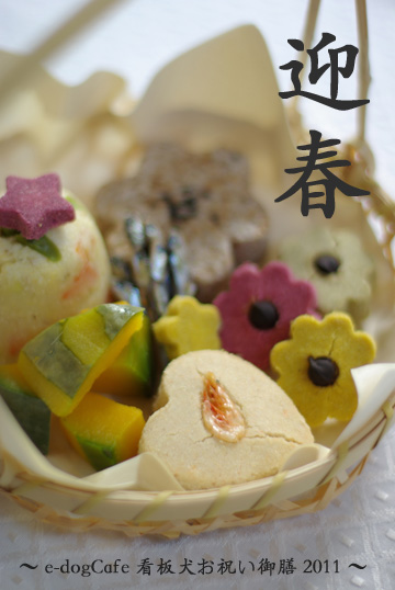 2011dogosechi.jpg