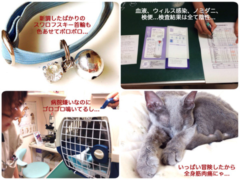 6.27.2014-4.jpg