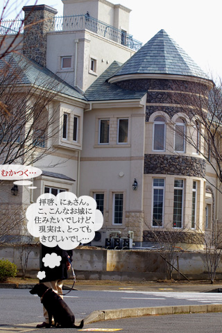 barbie_sanpo_02.20.07_2.jpg