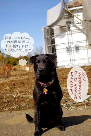 barbie_sanpo_02.20.07_3.jpg