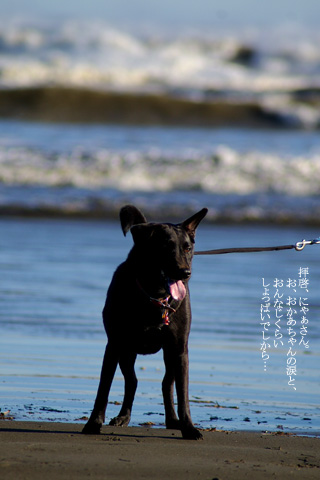 barbie_sea_02.jpg