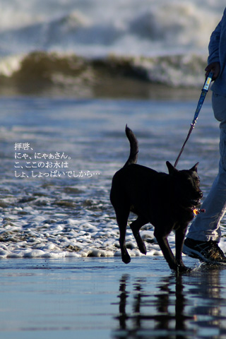 barbie_sea_02.20_3.jpg