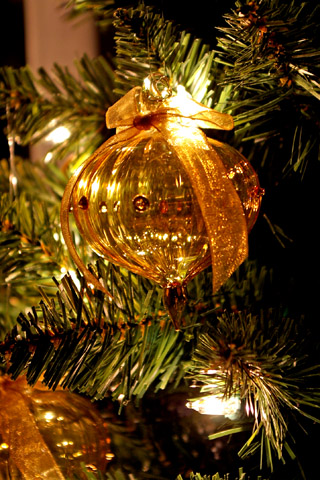 christmas_2005_den2.jpg