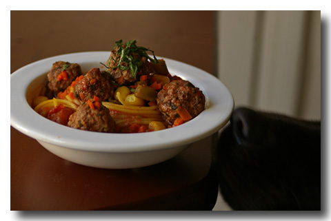 dog_meatballpasta_5.jpg