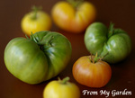 fried_green_tomato_3.jpg