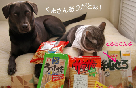 from_kumasan_5.jpg