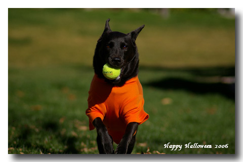 halloween_2006.jpg
