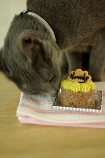 happybirthday_howdy_3.jpg