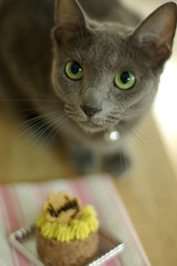 happybirthday_howdy_5.jpg