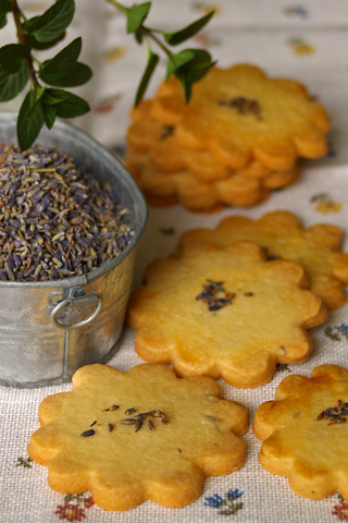 lavender_sable.jpg