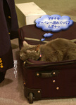 liberty_06.24.06.jpg
