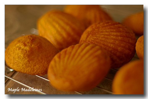 madeleines.jpg