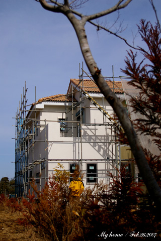myhome_02.26.07.jpg