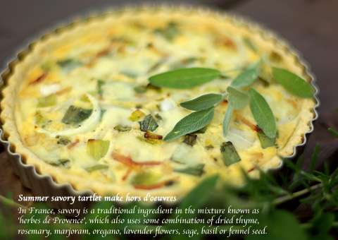 savory_tart_1.jpg
