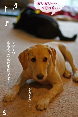 sawa_bar_09.21_10.jpg