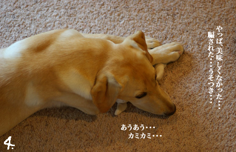 sawa_bar_09.21_4.jpg