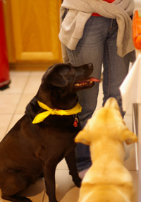 sawa_bar_09.21_6.jpg