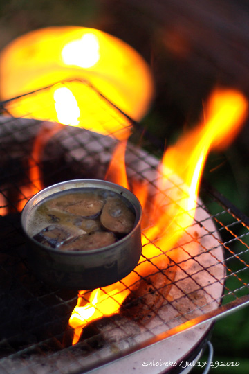 shibirekocamp_39.jpg