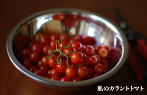 tomato_09.18.06.jpg