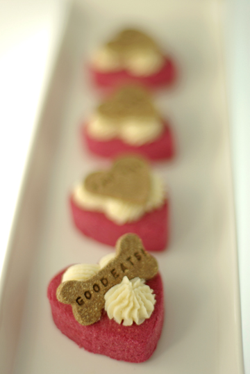 valentine2011_5_6.jpg
