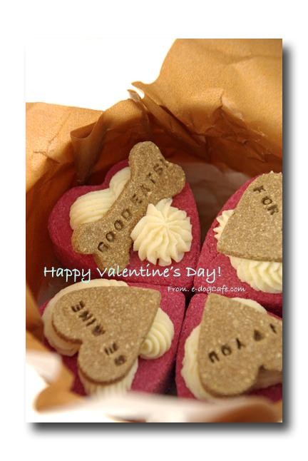 valentine2011_8.jpg