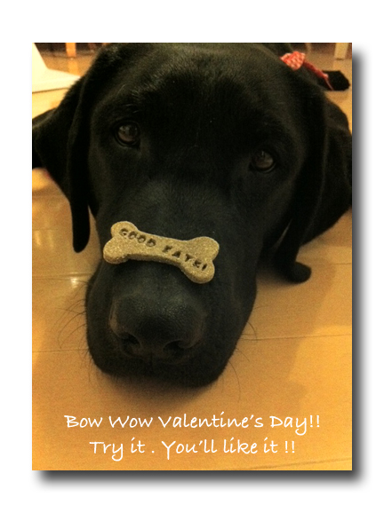 valentine2011_mora.jpg