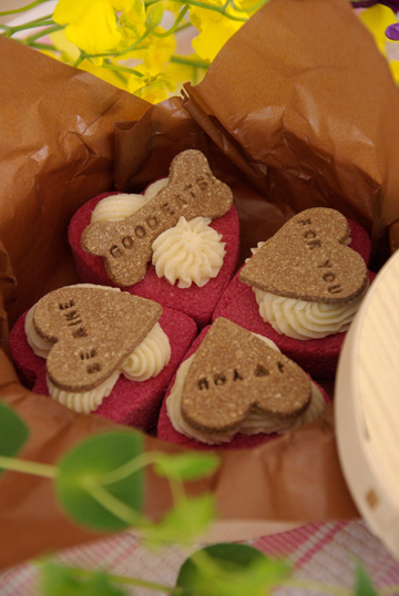 valentine_2011_2.jpg