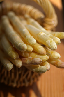 whiteaspala_2.jpg